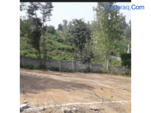 2100 m residential land in the north of unique Iran